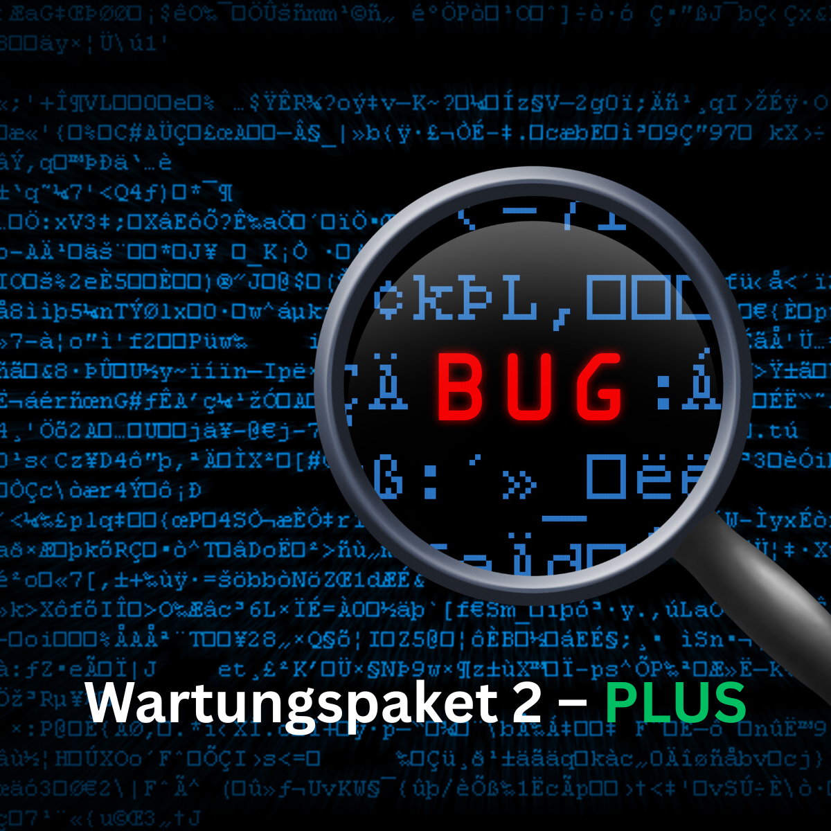 Maintenance package 2 – Extended / Updates & system care