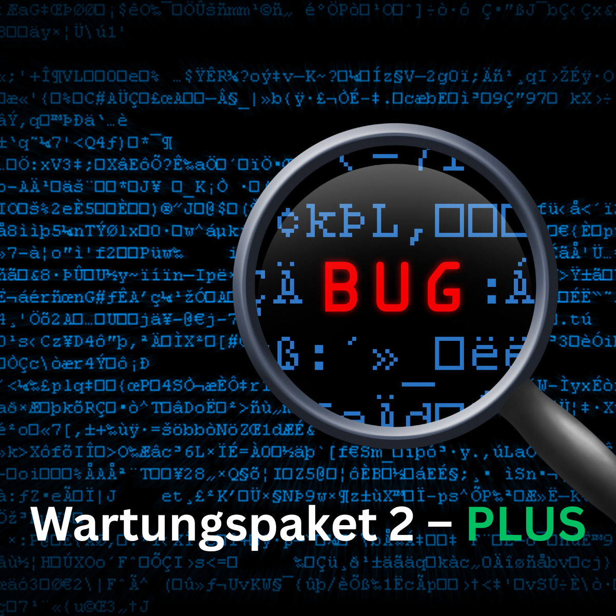 Maintenance package 2 – Extended / Updates & system care