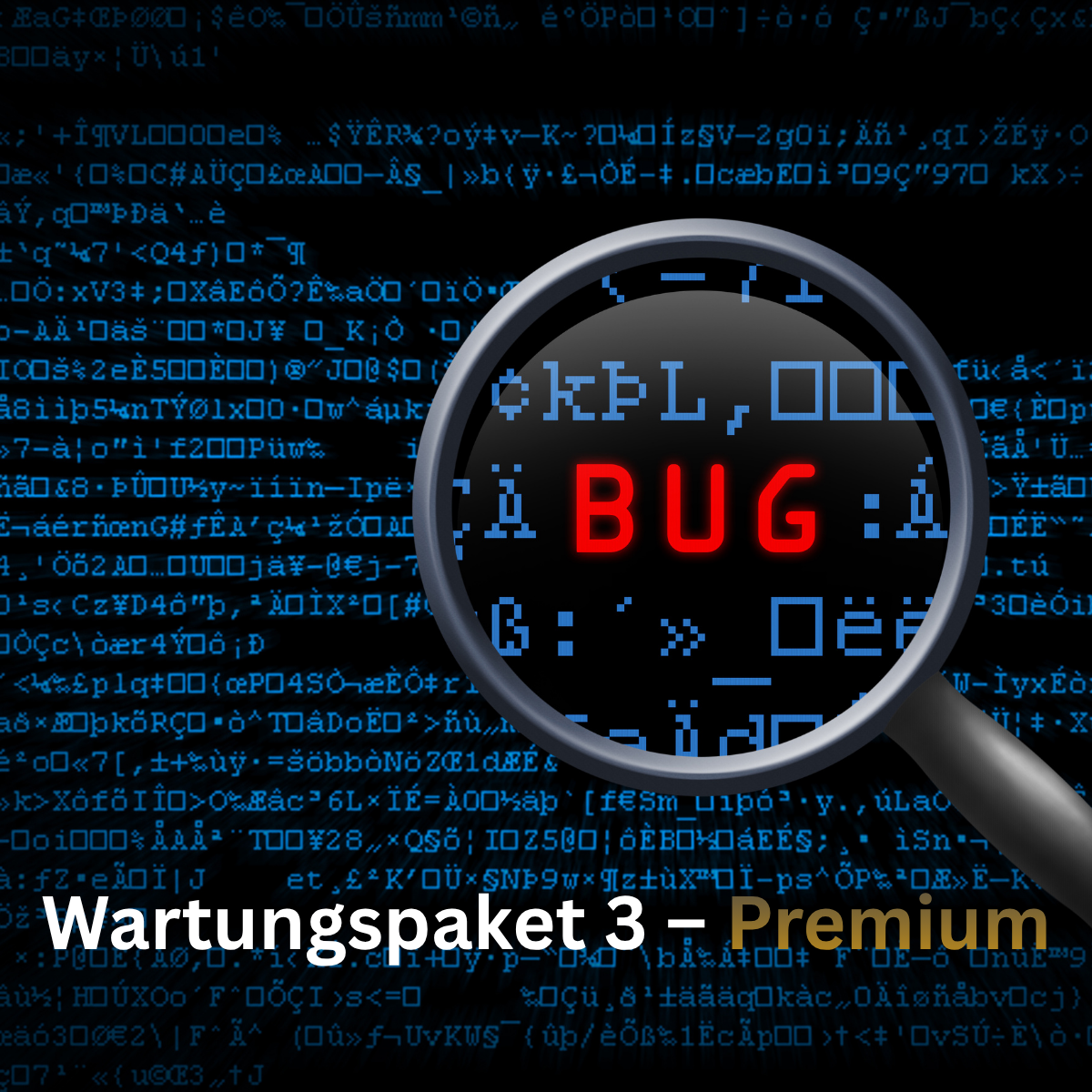 Maintenance package 3 – Premium / Updates, new features & adjustments