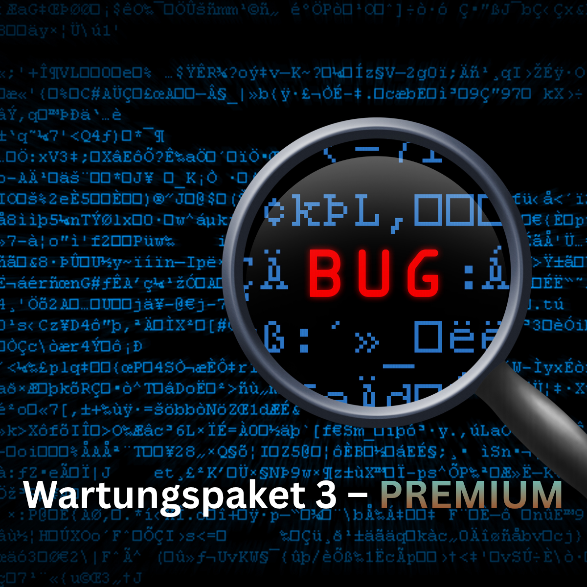 Maintenance package 3 – Premium / Updates, new features & adjustments